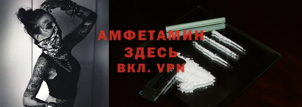 прущие крисы Щигры