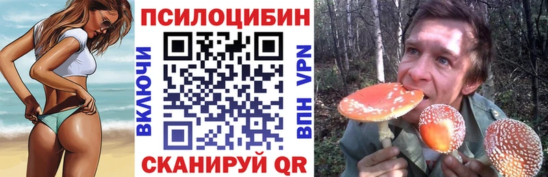 где купить наркотик  Лянтор  Псилоцибиновые грибы Cubensis 
